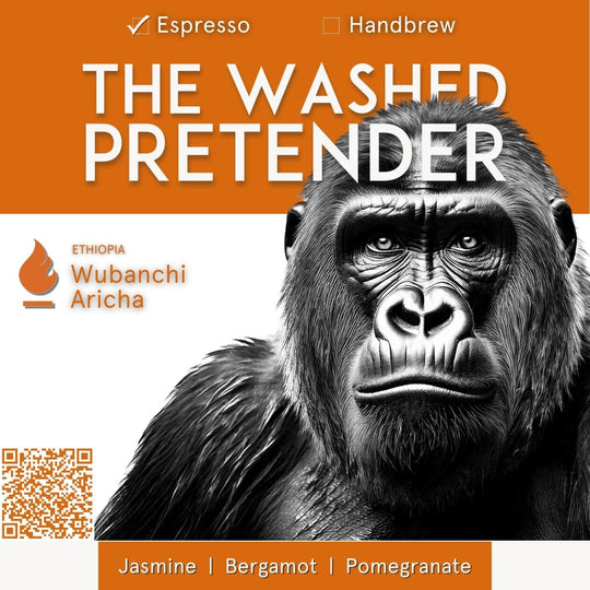 Ethiopia Aricha Wubanchi Espresso Single Origin - The Washed Pretender