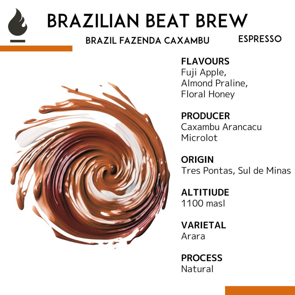 Brazil Fazenda Caxambu Espresso Single Origin — Brazilian Beat Brew