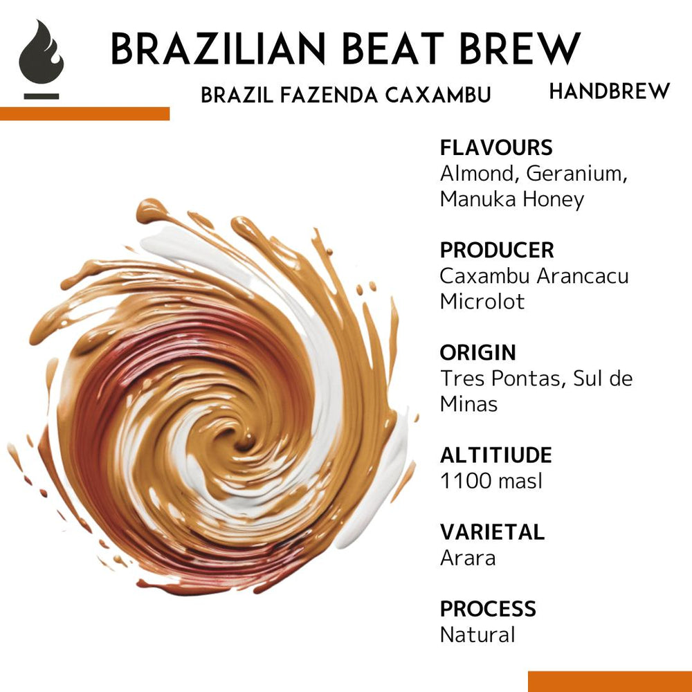 Brazil Fazenda Caxambu Handbrew Single Origin — Brazilian Beat Brew