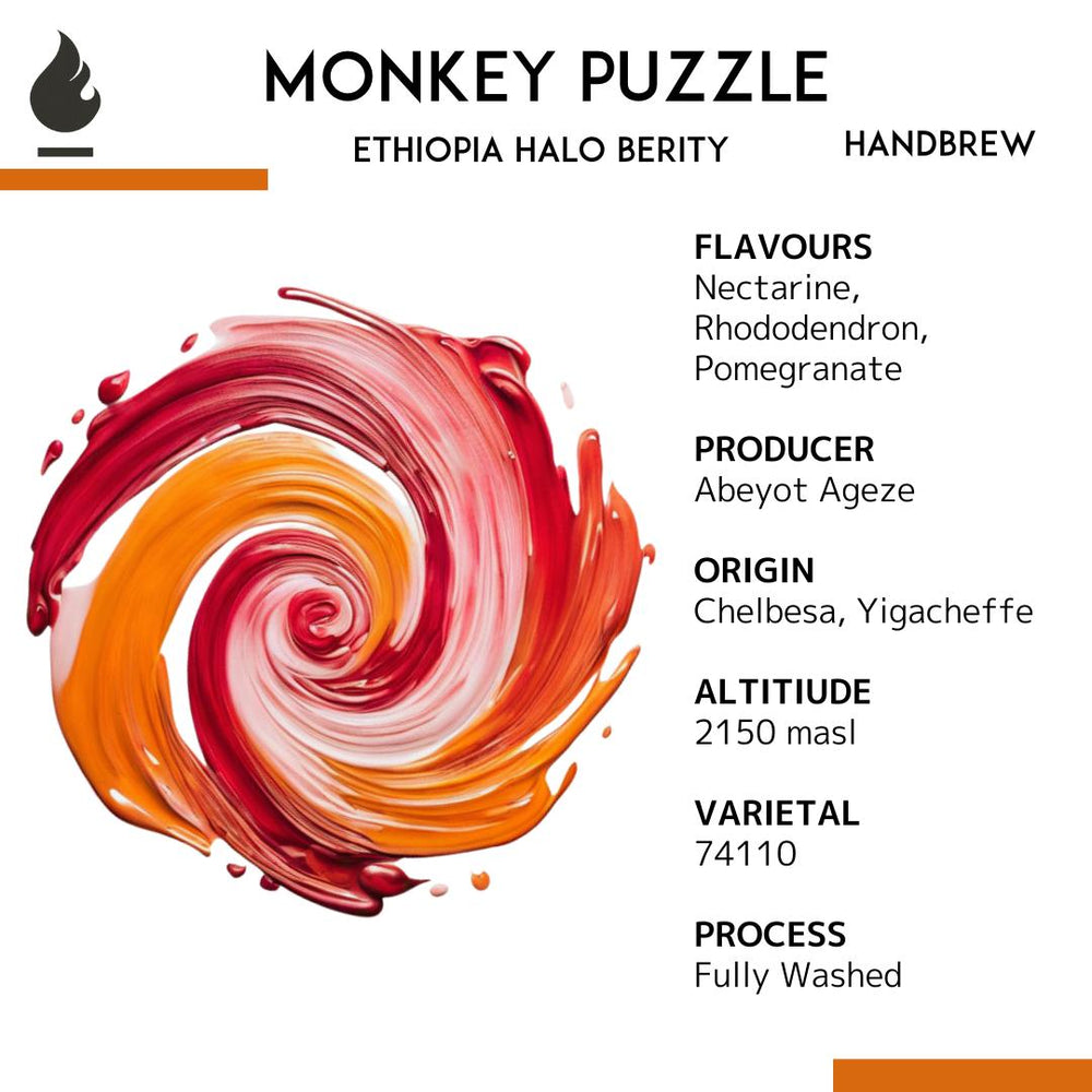 Ethiopia Halo Berity Handbrew Single Origin - Monkey Puzzle