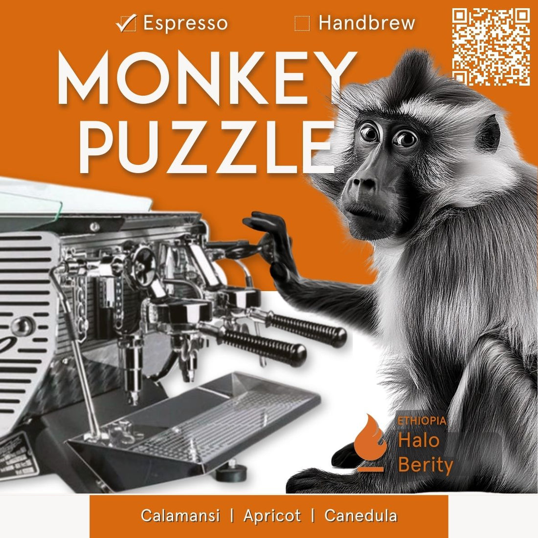 Ethiopia Halo Berity Espresso Single Origin — Monkey Puzzle