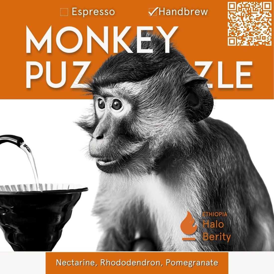 Ethiopia Halo Berity Handbrew Single Origin - Monkey Puzzle