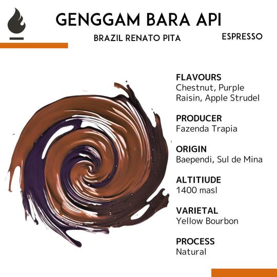 Brazil Renato Pita Espresso Single Origin — Genggam Bara Api